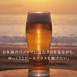 出雲多伎ブルワリークラフトビール６本セット