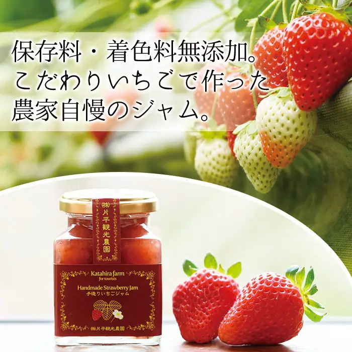 No.008 手造りイチゴジャム(約200g×10本) 国産 九州産 鹿児島県産 いちご イチゴ 苺 ジャム フルーツ 果物 手作り 手造り 調味料 小分け 贈答 プレゼント 保存料無添加 着色料無添加【片平観光農園】