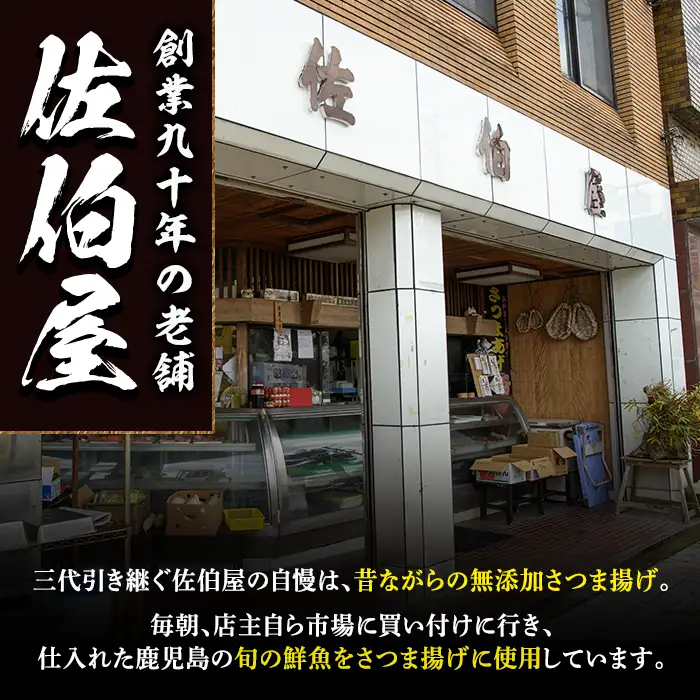 さつま揚げ セット 4種 計18～20個 さつまあげ 【佐伯屋】2026年8月発送分 平日着 No.312-01