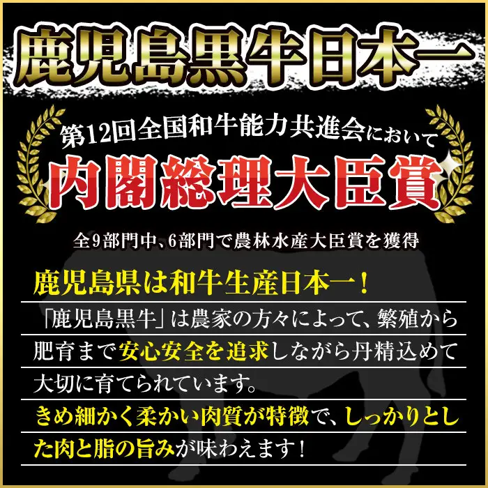 No.347 ＜肉質等級5等級＞(E-301)鹿児島黒牛サーロインステーキ2枚・すきやきセット(計1kg)国産 九州産 牛肉 黒牛 黒毛和牛 和牛 ステーキ スライス サーロイン リブロース 肩ロース カタ すき焼き しゃぶしゃぶ【さつま日置農協】
