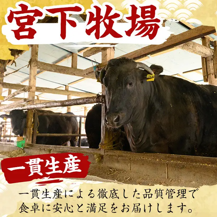 No.420 薩摩和牛の焼肉セット(合計800g・牛バラ焼肉用400g、モモもしくはカタ焼肉用400g)国産 九州産 牛肉 和牛 牛バラ バラ肉 モモ肉 もも 肩肉 カタ カルビ 焼き肉 焼肉 数量限定 BBQ 冷凍【さつま屋産業】