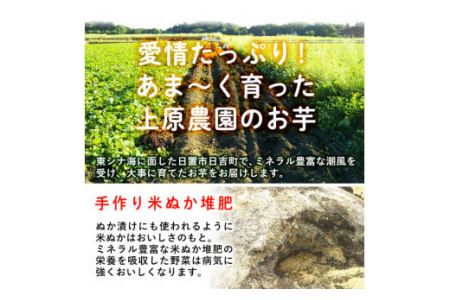 No.434 ＜先行予約受付中！＞鹿児島県産！特選紅はるか冷凍やきいも(500g×4袋・計2kg) 贈り物にも！栽培期間中農薬不使用 期間限定 数量限定 いも 芋 さつまいも サツマイモ 焼き芋 焼芋 スイーツ 冷凍 ギフト 贈答用【上原農園】