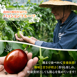 No.503 ＜数量・期間限定＞鹿児島県日置市産！パッションフルーツ(約1kg) 鹿児島 日置市 産地直送 スイーツ デザート 果実 果物 くだもの フルーツ 贈り物 贈答品 栄養満点 酸味 甘味 美容 健康【はまうえ果樹園】