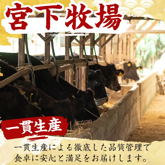No.727 ＜定期便・全3回(連続)＞黒毛和牛の赤身牛肉コース(全3回・すき焼き、焼肉、ステーキ)国産 九州産 牛肉 黒毛和牛 和牛 赤身 ステーキ 定期便 頒布会 数量限定 すき焼き しゃぶしゃぶ 冷凍【さつま屋産業】