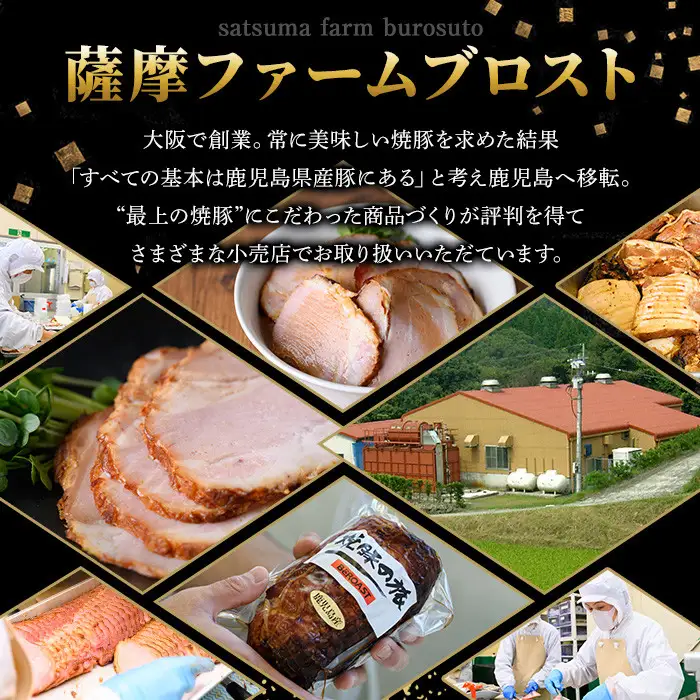 No.876 ＜定期便・全3回(隔月)＞鹿児島県産の焼豚大ブロック(計1kg・約500g×2本×3回)国産 九州産 焼豚 叉焼 チャーシュー ラーメン 具材 お中元 お歳暮 ギフト 贈答 詰め合わせ 豚肉 タレ おかず おつまみ 頒布会 人気【薩摩ファームブロスト】