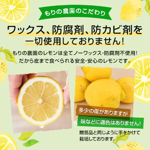【レモン島から贈る】安心の国産レモン3kg 2027年2月から順次発送