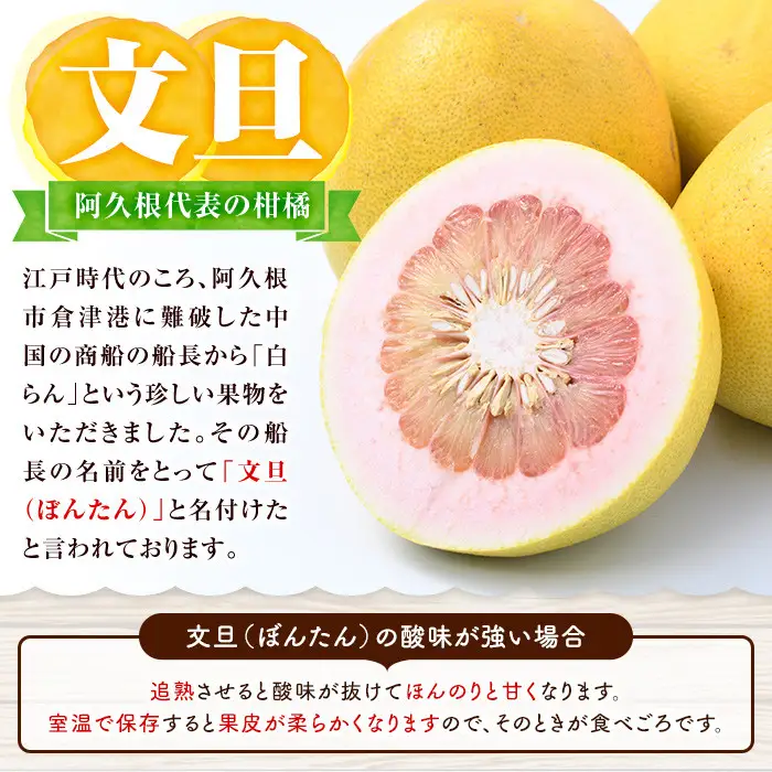 ＜先行予約受付中！2027年1月以降順次発送予定＞鹿児島県阿久根市産！特別選定 柑橘セット(ボンタン3個・不知火3kg) 国産 果物 フルーツ かんきつ ノーワックス【松永青果】akn053-26