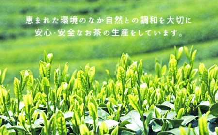 五島茶（290ml×24本入） 緑茶 ボトル  [PAF017]   緑茶 ボトル缶 まとめ買いドリンク ソフトドリンク 茶 お茶 セット ドリンク 缶 飲料 飲み物 長崎県産 五島茶 ご当地 おちゃ 飲み物