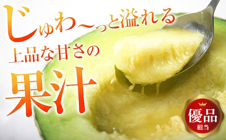 【定期便３ヶ月】純系マスクメロン２玉【通年栽培】：2027年１～３月発送分