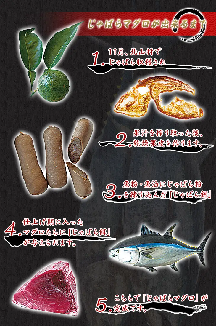 【串本町×北山村】本マグロ（養殖）トロ＆赤身セット1350g 【12月発送】【nks111A-12】