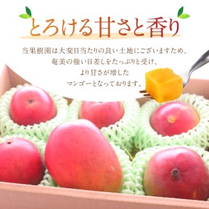 それいゆ マンゴー 1kg A006-016 それいゆマンゴー フルーツ トロピカル 先行受付  事前受付 事前予約 ソレイユスマイルふるさと納税 奄美市 おすすめ ランキング プレゼント ギフト