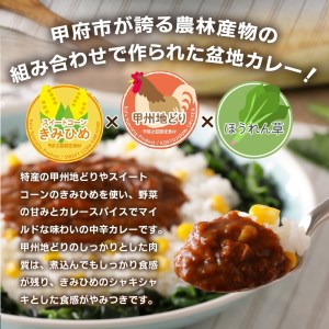 【ご当地カレー】甲府の新メニューレシピコンテストグランプリ受賞レシピ　甲府盆地カレー　180g×3個