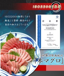 本マグロ 本鮪 トロ 赤身 500g セット【11月発送】【nks110D-11】