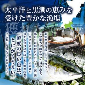天然ブリ 1本 5kg～ 下処理なし まるごと直送便【天然ブリ】【R01211】