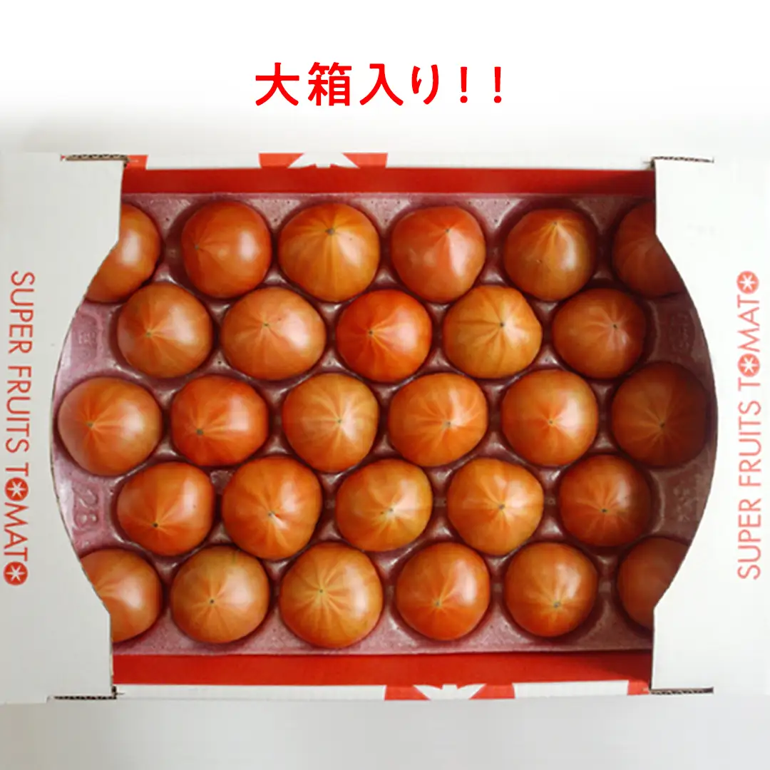 《 2027年 収穫分 》全3回 定期便 スーパーフルーツトマト 大箱 約2.6kg × 1箱 × 3回 糖度9度以上 先行予約 定期便 3ヶ月 茨城県 桜川市 KEK 国産 トマト フルーツトマト ブランドトマト 野菜 ギフト 贈答 青空レストラン アド街ック天国 グッドモーニング 黄金のワンスプーン 昼めし旅 [BC048sa]