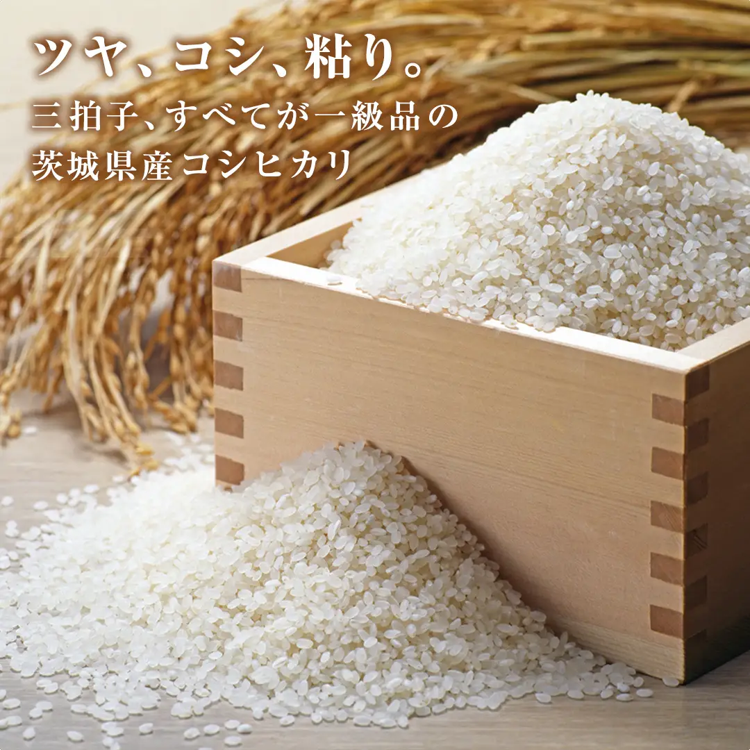 令和8年産 茨城 新米 こしひかり 10kg（5kg×2本） 国産 お米 米 コメ 白米 ライス ご飯 おいしい コシヒカリ