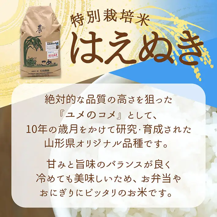 石垣農園の特別栽培米 はえぬき 10kg 令和7年産 2025年産 ブランド米 山形県コシヒカリの原点、亀の尾発祥の地 庄内【029-024I】