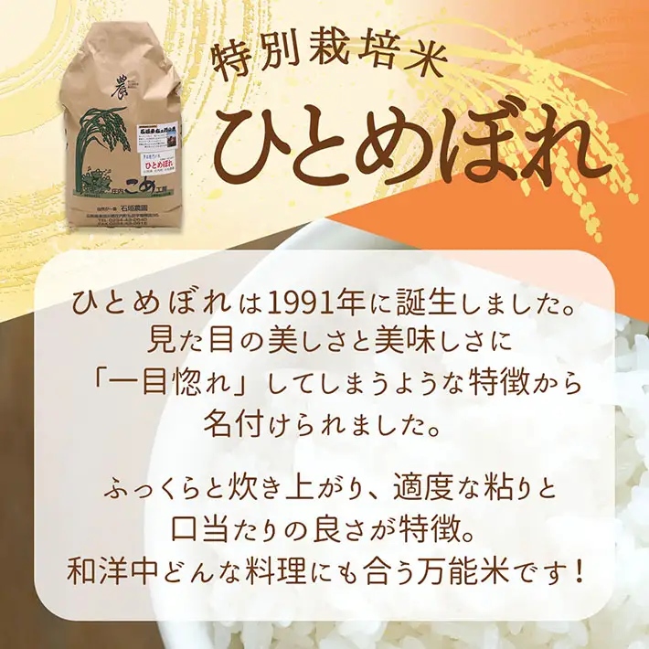 石垣農園の特別栽培米 ひとめぼれ 10kg 令和7年産 2025年産 ブランド米 山形県コシヒカリの原点、亀の尾発祥の地 庄内【030-024I】