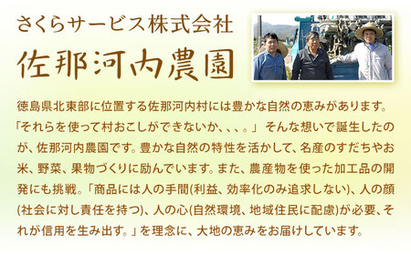 佐那河内産ゆず使用 柚子バーム 5.5g×1個 