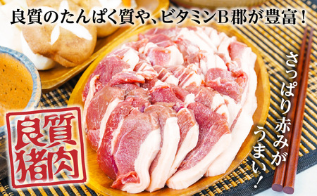 天然猪肉 スライス 700g 宮崎県高千穂町産 ジビエ 天然 猪肉 いのしし ジビエ ジビエの王様 狩猟肉 獣肉 狩猟 加工済み 処理済み 高タンパク 焼肉 鍋 ぼたん鍋 BBQ キャンプ グランピング アウトドア お取り寄せグルメ グルメ 料理 おかず 冷凍 高千穂町産 宮崎県 高千穂町 _Tk005-084