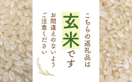 令和7年産 あきさかり 3kg 福井県産 コシヒカリ系統品種【玄米】 [e30-a090]