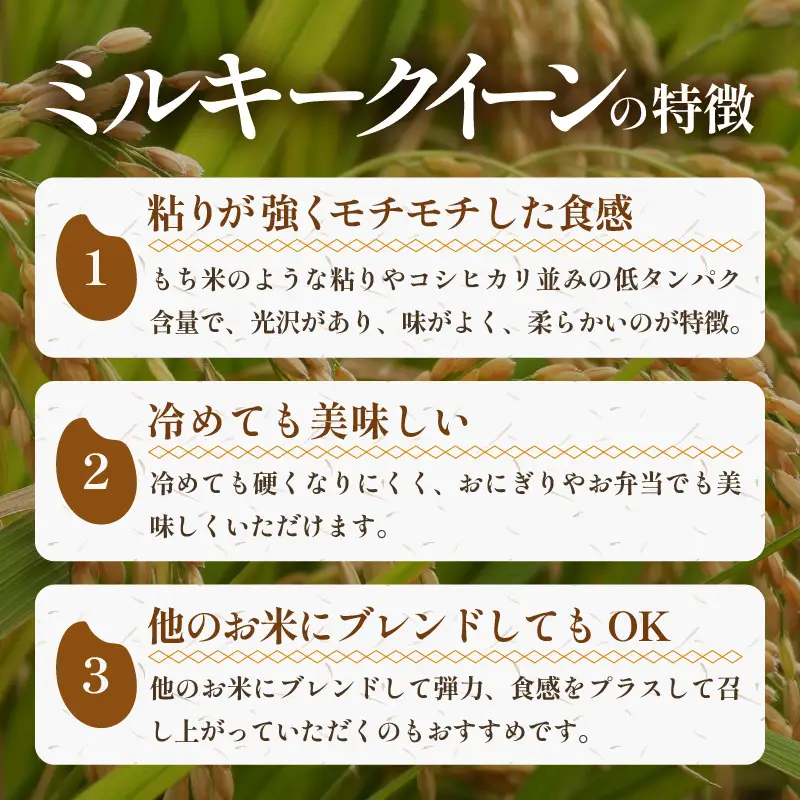 【令和8年産】《定期便3回》5kg×3回 15kg 特別栽培米 ミルキークイーン 玄米 低農薬 《食味値85点以上！こだわり玄米》 / 福井県 あわら 北陸 米 お米 人気 [aw032-d009]