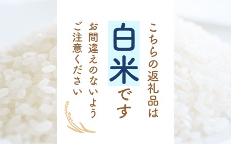  令和7年産 あきさかり 5kg 福井県産 コシヒカリ系統品種【白米】 [e30-a093]