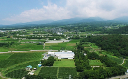 日本ワイン ソラリス 千曲川 信濃リースリング ワイン 白ワイン マンズワイン 酒 お酒 洋酒 果実酒 ぶどう酒 長野 長野県小諸市 