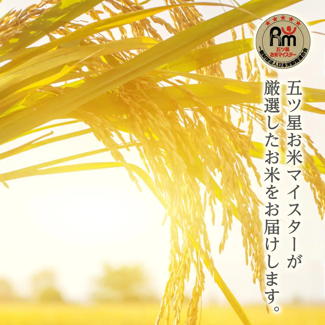 《 令和7年産 》茨城県産 ミルキークイーン 10kg ( 5kg × 2袋 )  米 コメ こめ 五ツ星 高品質 白米 精米 お弁当 期間限定