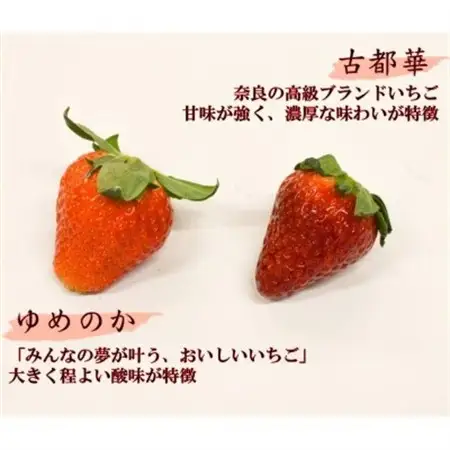 赤のコラボ「古都華」と「ゆめのか」(それぞれ9粒～11粒)_果物・フルーツ いちご  イチゴ 苺_【配送不可地域：離島】【1097359】