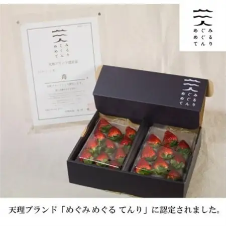 古都に咲く真っ赤な華いちご「古都華」(270g以上/3L～2Lサイズ/9～11粒)×2P　化粧箱入り_果物・フルーツ いちご  イチゴ 苺_【配送不可地域：離島】【1102952】