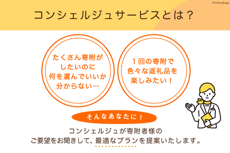 【あなただけの返礼品が届く】 コンシェルジュ サービス 寄附金額 30万円 オーダーメイド プラン 
