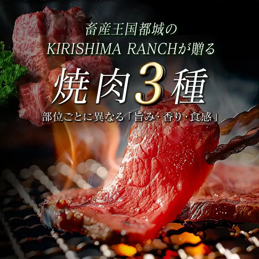 【国産黒毛和牛】モモ・カタ・カルビ焼肉セット 1kg〔AC-E903〕_(都城市) 国産黒毛和牛 焼肉用 モモ・カタ(各300g)×1パック カルビ(400g)×1パック 冷凍配送 