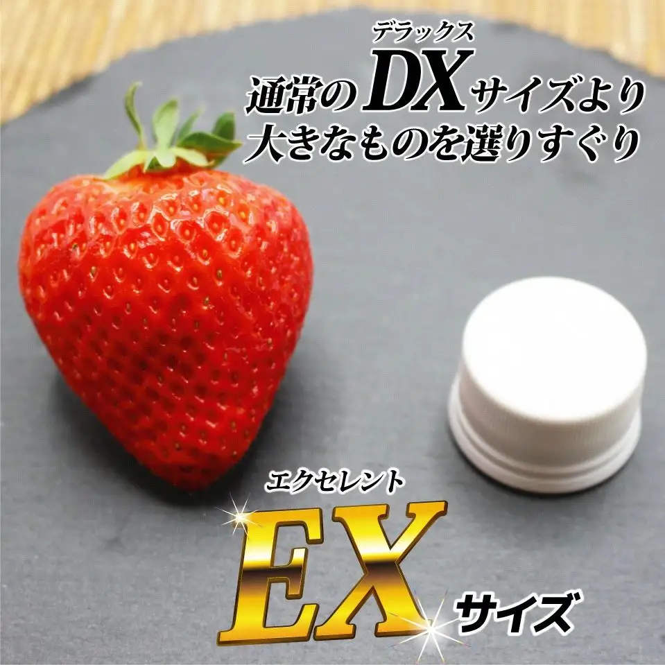 【先行予約】1月より順次発送！「博多あまおう」EX　贈答用化粧箱　約450g 1箱【ほたるの里】_HA0752
