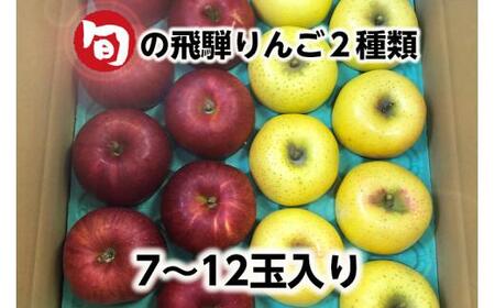 【令和8年産】≪9月中旬～順次発送≫ 飛騨リンゴ 3kg（7～12玉入り）おまかせ２品種 食べ比べ | 数量限定 果物 りんご リンゴ 林檎 フルーツ 旬 飛騨高山 10000円 1万円 ぜんぞう果樹園 FX001-26