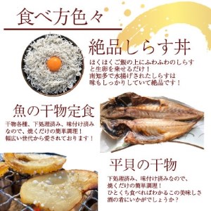 岬だより 南知多干物セット [配送不可地域：離島]