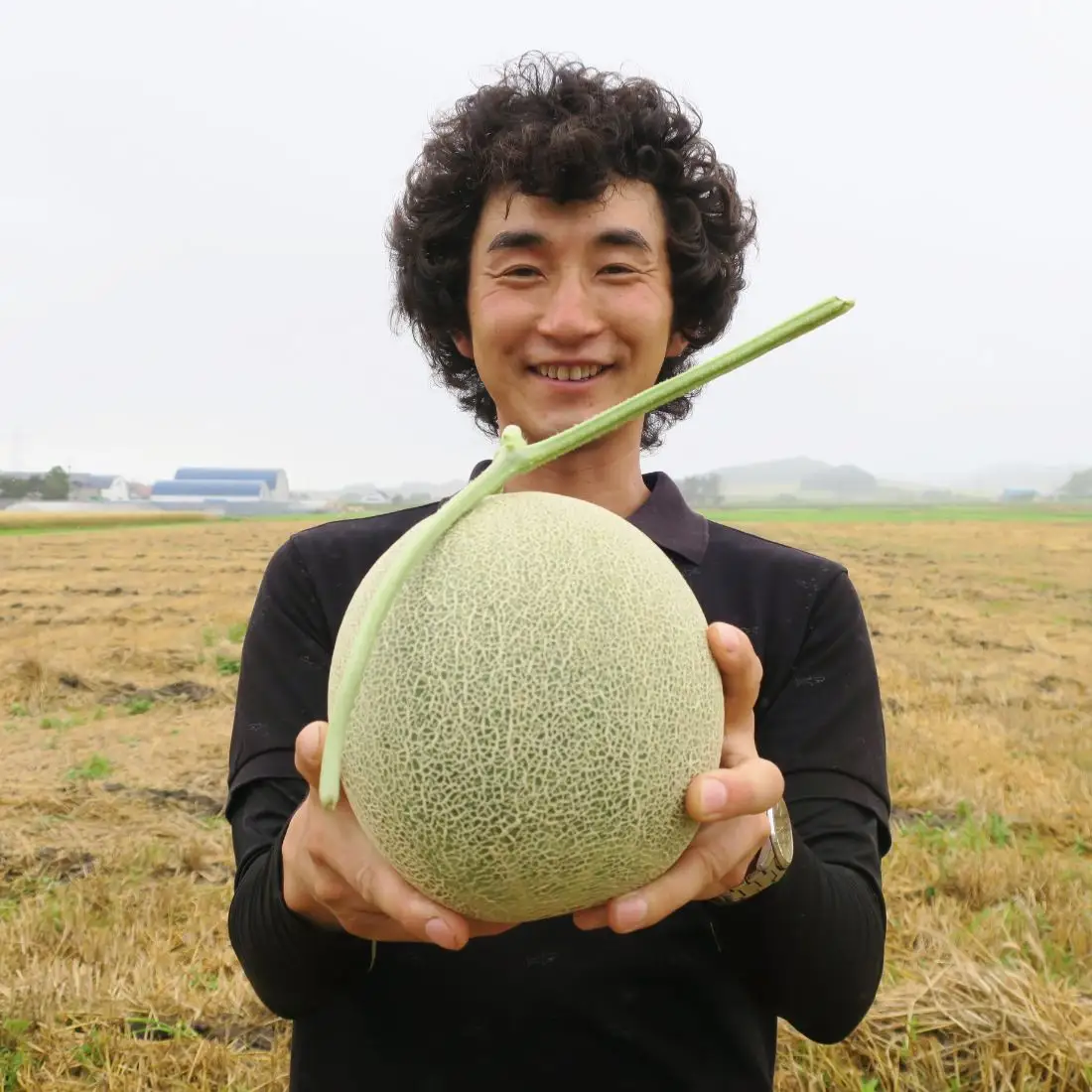 【2027年度産 先行予約】北海道栗山町産 幻のメロン 大箱（4～6玉 計8kg程度）