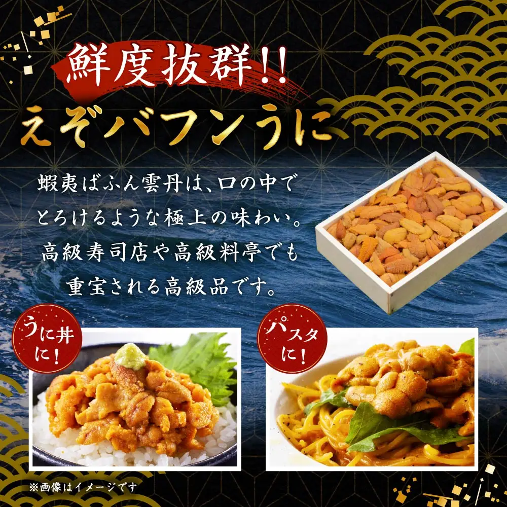 【鮮度抜群！極上生えぞバフンうに】生うに折250g ふるさと納税 うに F4F-3210