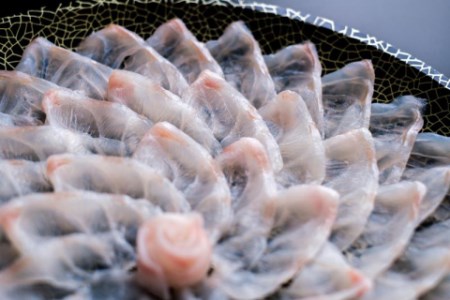 幻の高級魚 クエ刺身(薄造り) 4～5人前 240ｇ 冷凍 山口県 長門市 仙崎港水揚げ 年内配送 (1355)