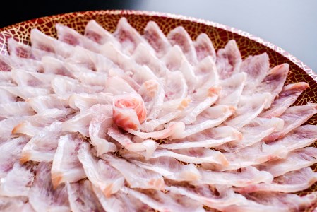 キジハタ きじはた アコウ ハタ アカミズ 造り 刺身 薄造り うす造り 4人前 刺身 お刺身 冷凍 幻の魚 山口県 長門市 長門 仙崎 仙崎港 仙崎産 豪華 ギフト 贈り物 急速冷凍 ポン酢付き キジハタの刺身  年内配送 (12008)
