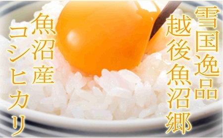 【定期便：雪国逸品 精米2kg×6ヶ月】越後魚沼郷 魚沼産コシヒカリ お米 人 自然調和 ミネラル 奇跡 自然環境 努カ 香り つや 粘り 極上 