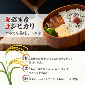 【定期便：雪国逸品 精米5kg×3ヶ月】越後魚沼郷 魚沼産コシヒカリ お米 人 自然調和 ミネラル 奇跡 自然環境 努カ 香り つや 粘り 極上 