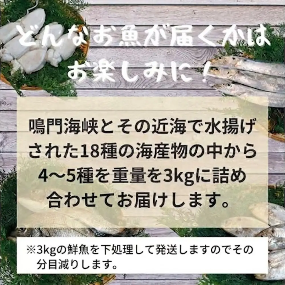 鳴門海峡冷凍鮮魚セット 3kg （ 4～5種 ）鳴門海峡 鮮魚 冷凍 旬の魚 鳴門わかめ 詰め合わせ セット 魚 