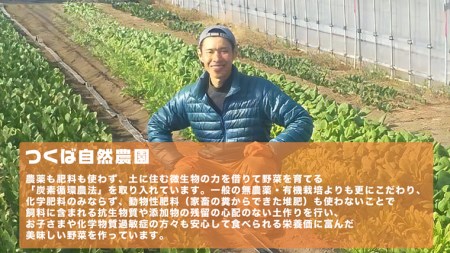 さつまいも ( 紅はるか ） 5kg 【 栽培期間中 / 農薬・肥料不使用 】