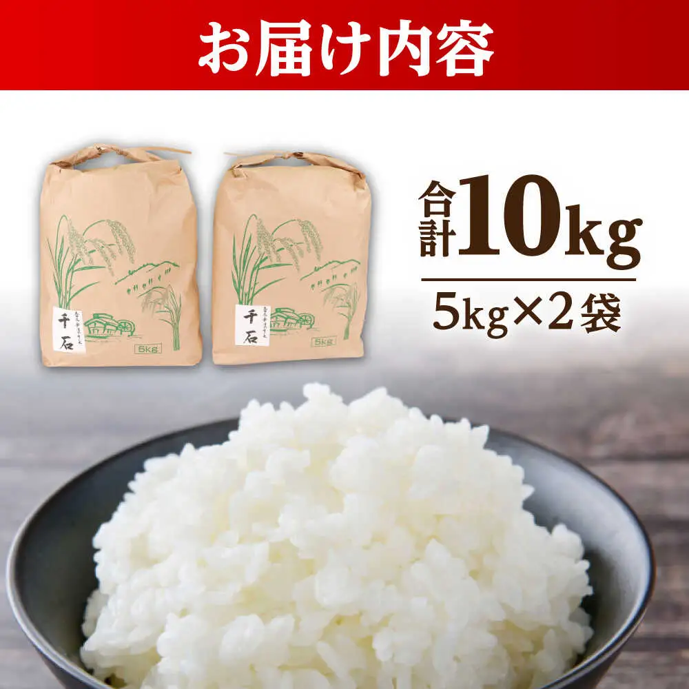 【 先行予約 /10月以降配送】【令和7年産】福井県産コシヒカリ「千石」 10kg 小浜市 / 千石の郷  [BFCA001]