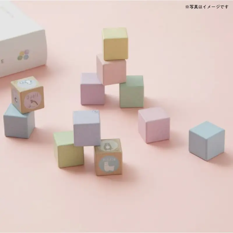 キューブ型の知育玩具【にじいろキューブ】