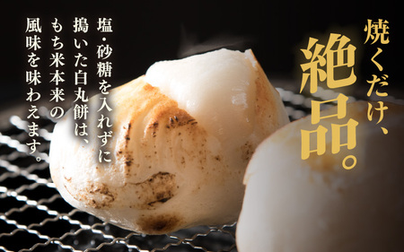 たんちょう杵つき餅セット つどい 計40個 2026年11月下旬以降順次発送 餅 丸もち とぼもち [A-2998]