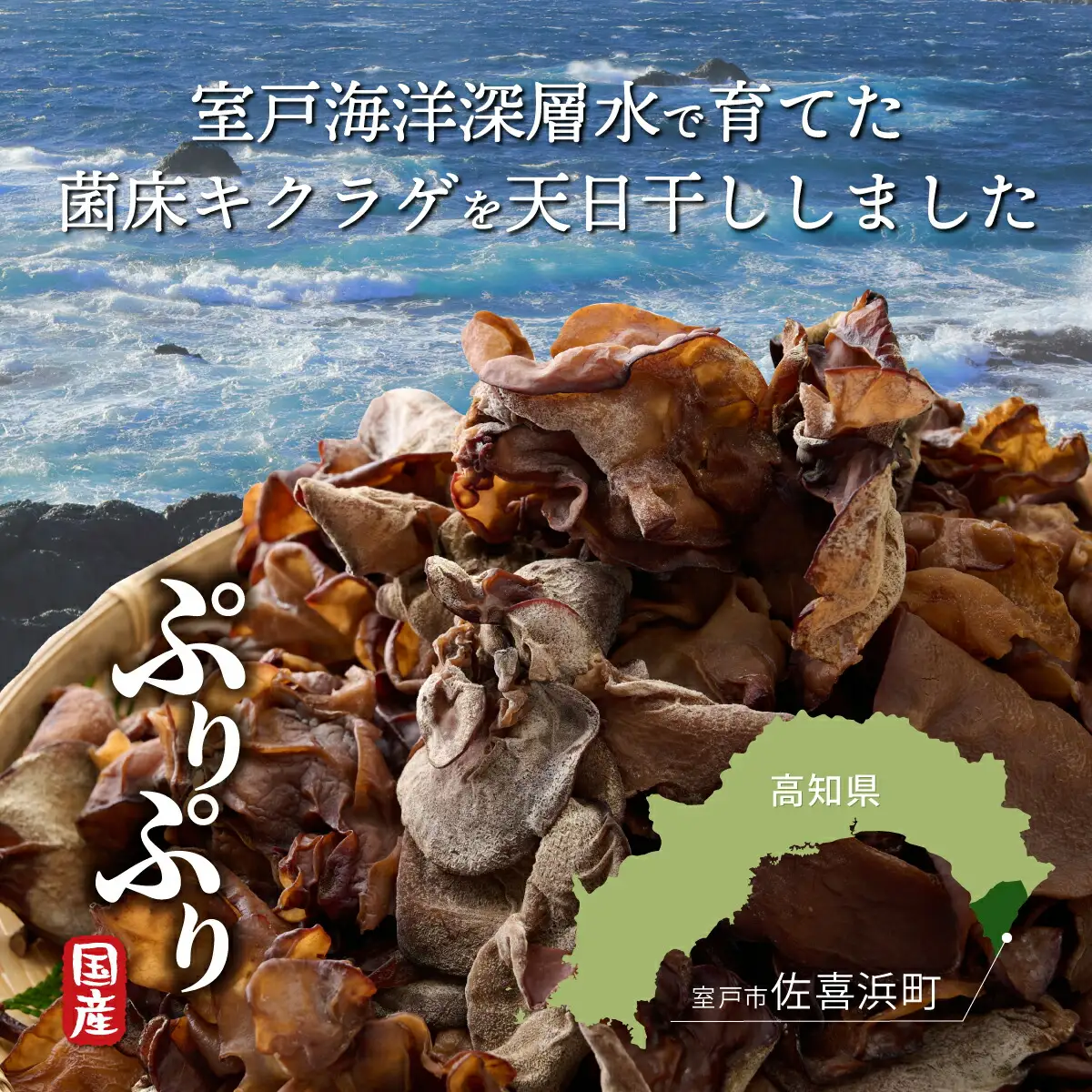 佐喜浜キクラゲ（天日干し）　計３００ｇ　３０g×１０袋詰め合わせセット