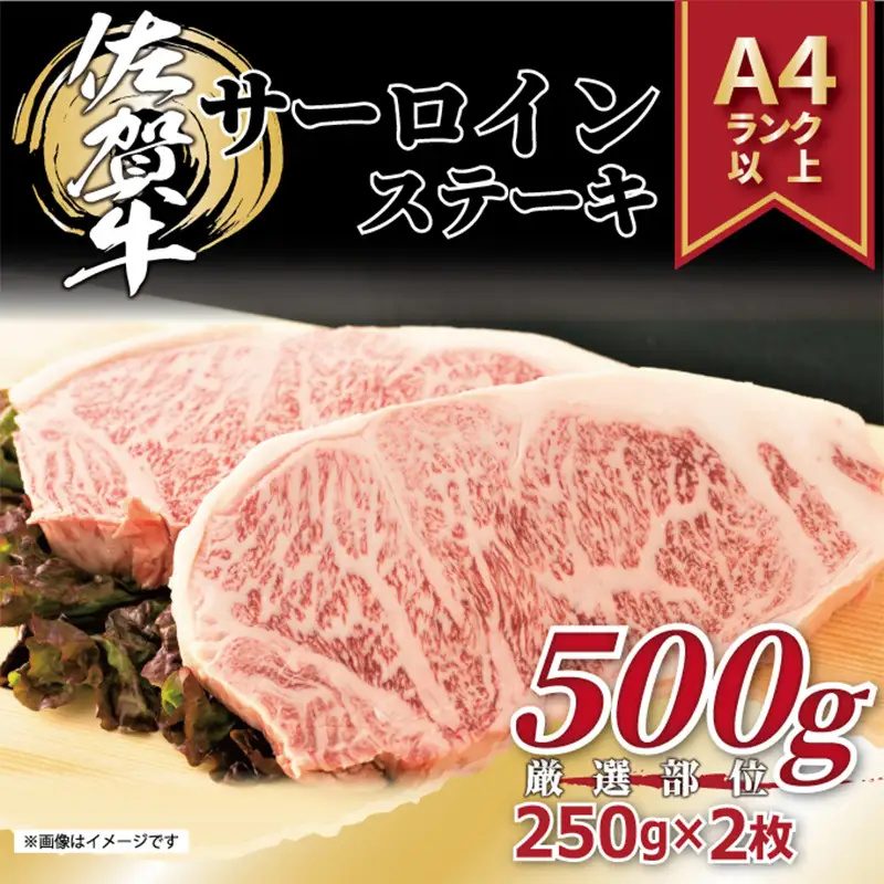 艶さし！佐賀牛サーロインステーキ 250g×2枚(合計500g) ステーキ
