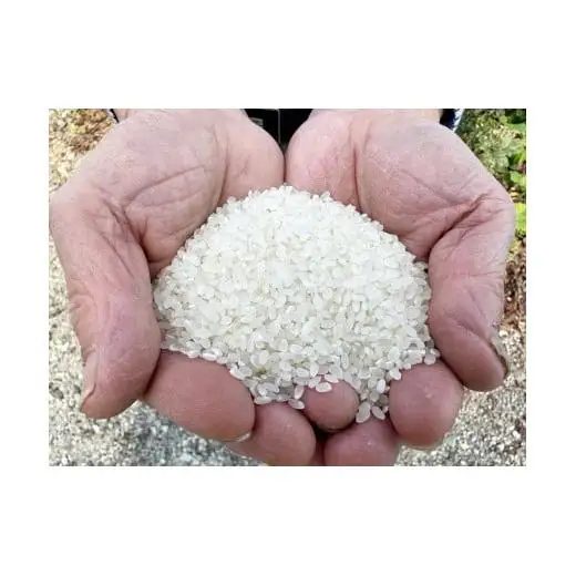 アイガモ農法で栽培した 無農薬 有機栽培米５kg お米 精米 こしひかり 兵庫県 多可町 檜本さん ひのきもとさん [800]
